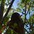 Lacy Sincomb's profile image