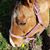Amy Beth Graff's profile image