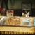Elizabeth VanStralen's profile image