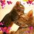 Brandy Davis Mabrito's profile image