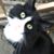Polly Letofsky's profile image