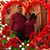 Fam Vasquez Leyva's profile image