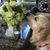 Gretchen Wenderski Weber's profile image