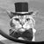 Stuart Hansen's profile image