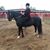 Lori Wilson's profile image