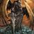 Aceis Reynard's profile image