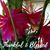 Wendy Miller's profile image