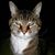 Marilyn Flanary's profile image
