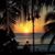 Laura L. Thompson's profile image