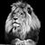 Terry Roan's profile image