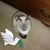 Frieda Woronowski's profile image