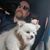 David Kogowski's profile image