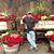 Mike Kovak's profile image