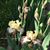 Pam Hopkins McElrath's profile image