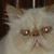Judy Sweatland's profile image