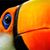 Olivier Heissler's profile image