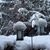 Amy Spradlin's profile image