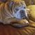 Barbara Fox's profile image