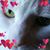 Terri Benner's profile image