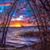 Kellie Ann Green's profile image