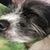 Traci Larsen's profile image