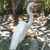 Nancy Olpp Fritz's profile image