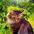 Gwendolyn Harrison Summerlin's profile image