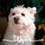 Michelle Jurewicz's profile image