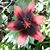 Tammy Marovets's profile image