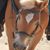 Sue Schildt's profile image