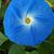 Pam Hill's profile image