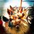 Brandi Schwanke's profile image