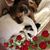 Kim Walwer David's profile image