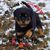 Kim Shaffer's profile image