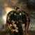 Nathan Shipp's profile image