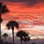 Dianne Duncil Gowing's profile image