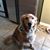 Shannon Andzulis Rock's profile image