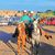 Jesus Daniel Moreno Gallegos's profile image