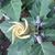 Kirsten Evans's profile image