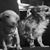 Doris Mcclelland-scott's profile image