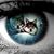 Donna Ferguson's profile image