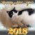 Alice Spadafora Pau's profile image
