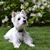 Sherrill Robertson Bland's profile image