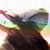 Kaylie Matheny's profile image