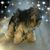 Paul Miller's profile image