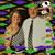 Amy Camille Gerard's profile image