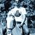 Satyam Dwivedi's profile image