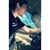 Chris Fajardo's profile image