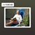 Eydie Riley's profile image