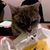 Mike Miron's profile image